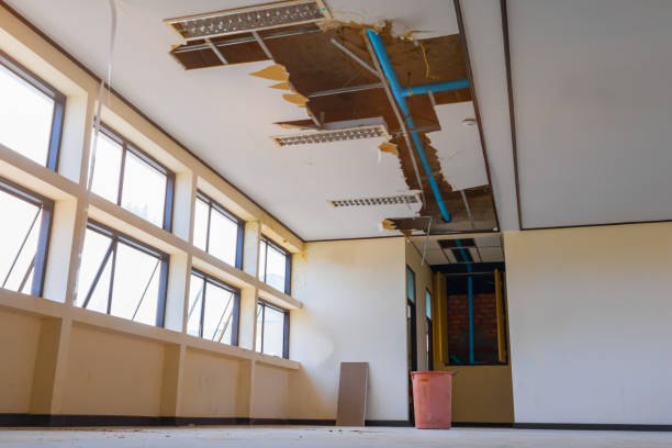 Best Water damage restoration near me  in Onalaska, TX