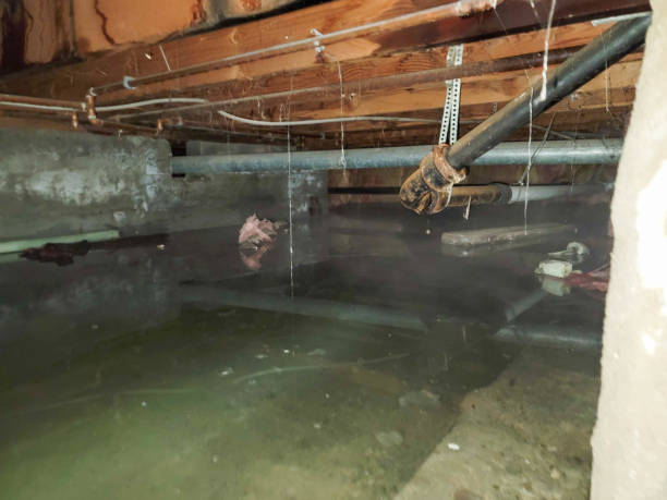 Best Emergency water damage restoration  in Onalaska, TX