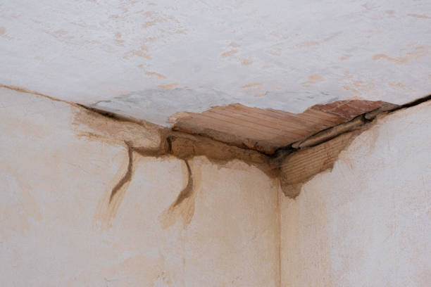 Best Flooded house restoration  in Onalaska, TX