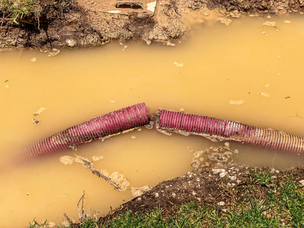 Best Water damage contractors near me  in Onalaska, TX