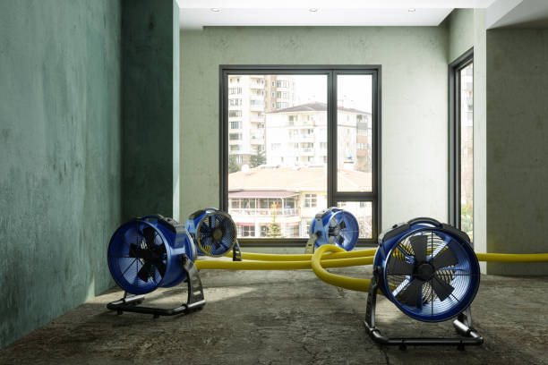 Best Water damage cleanup near me  in Onalaska, TX